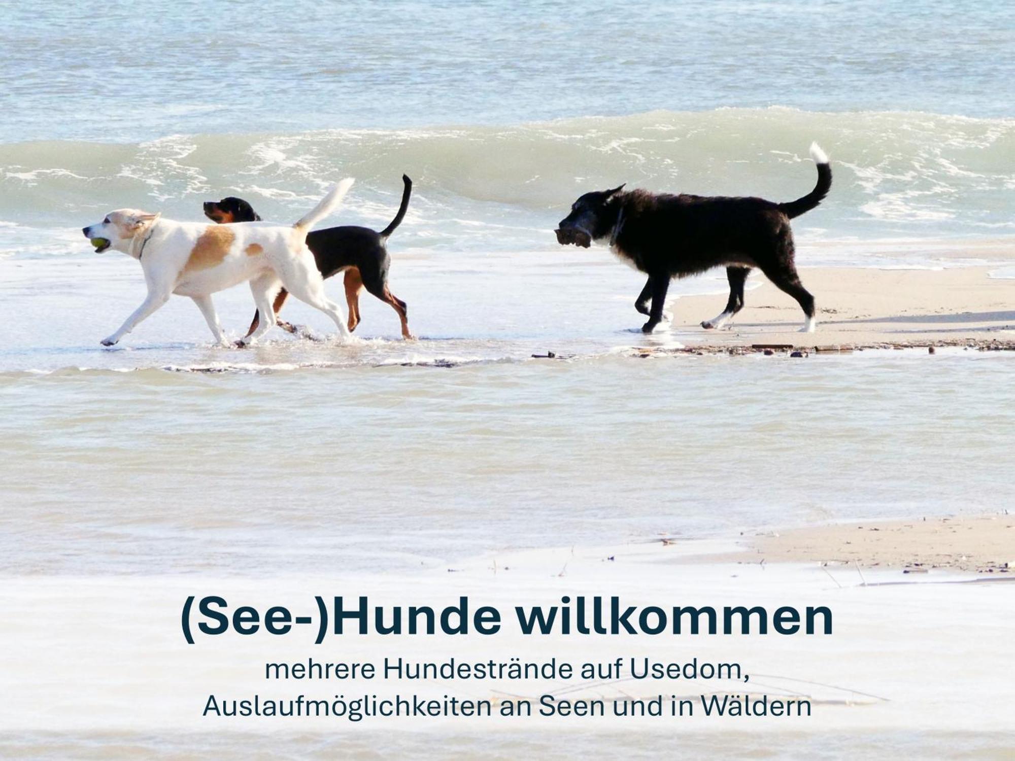 Ferienwohnung Ursel Heringsdorf  Luaran gambar